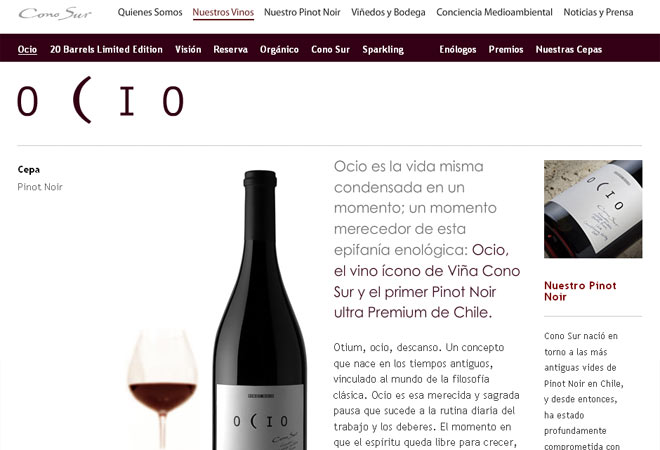 Viña Cono Sur