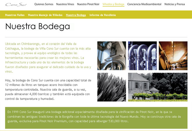 Viña Cono Sur