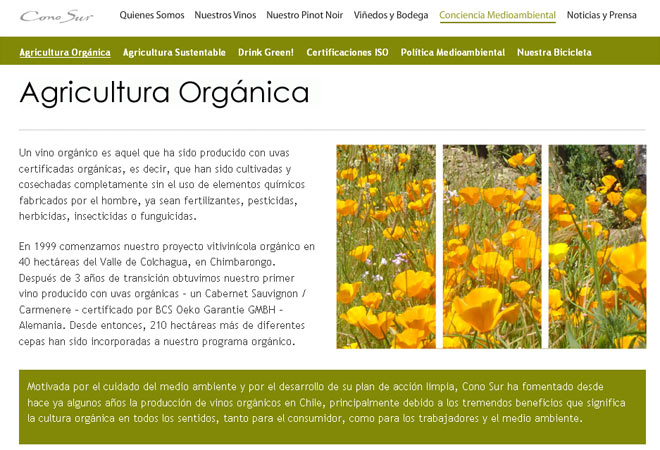 Viña Cono Sur