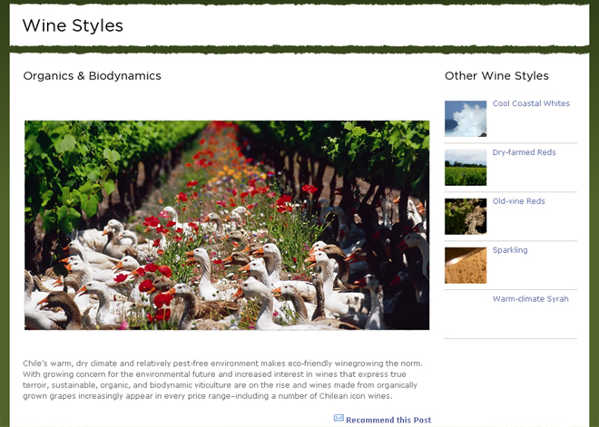 Wines of Chile