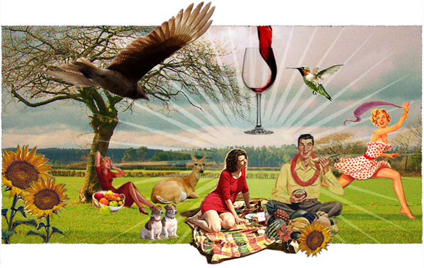 Ocasiones, Wines of Chile