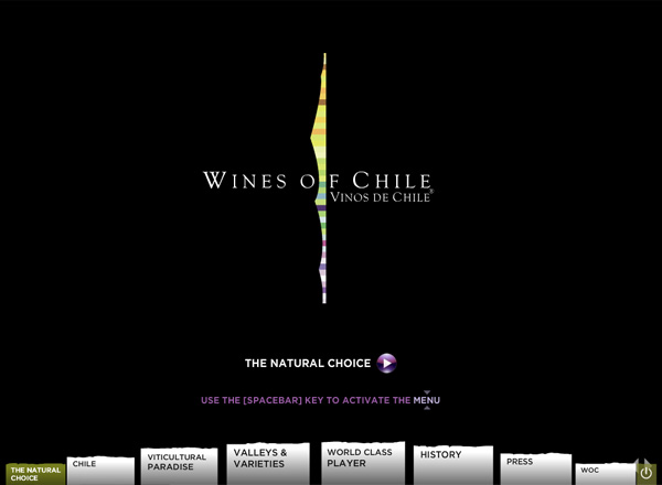 Presentación Wines of Chile