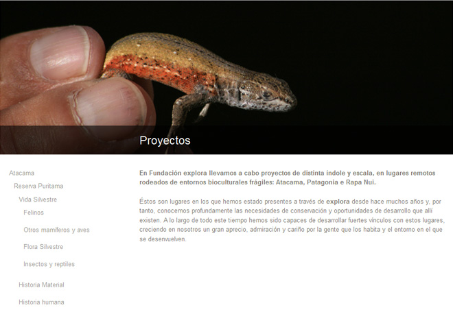 Fundación Explora
